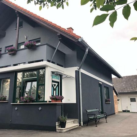 Apartman I Soba Hadela Sveti Martin Na Muri Exterior photo