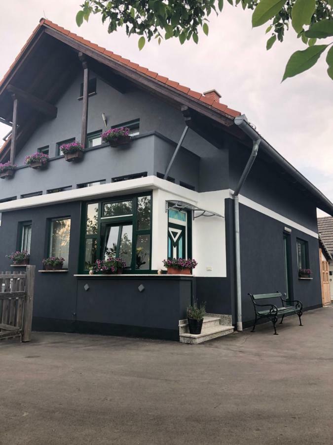 Apartman I Soba Hadela Sveti Martin Na Muri Exterior photo